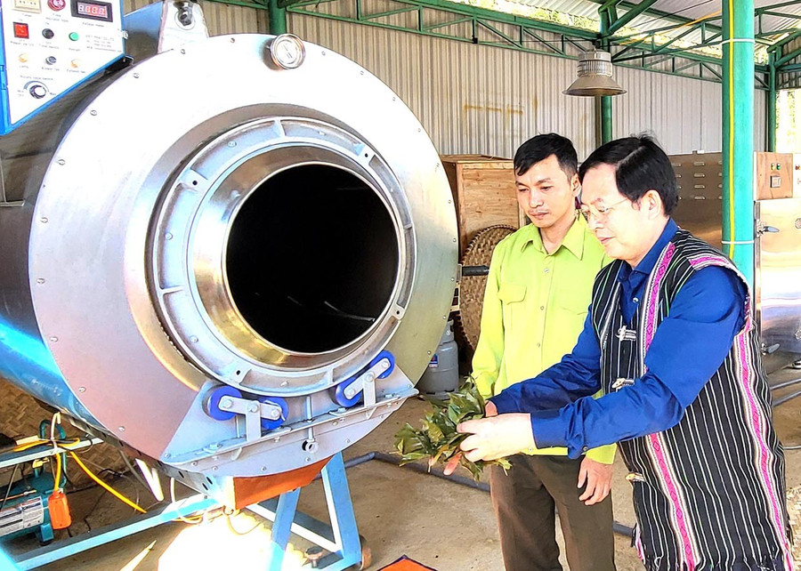 Bí thư Tỉnh ủy Hồ Quốc Dũng (bìa phải) tham quan quy trình sản xuất thử nghiệm chè Tiến vua tại Ban Quản lý rừng đặc dụng An Toàn (xã An Toàn). Ảnh: D.Đ bg6-1-duy-dang.jpg