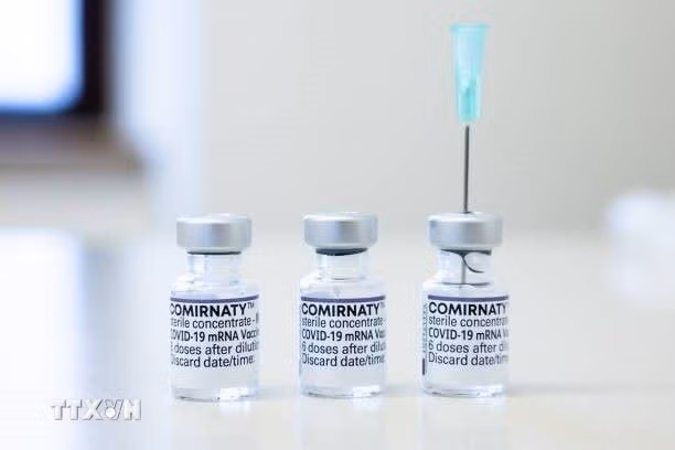 Vaccine phòng COVID-19 của hãng Pfizer-BioNTech. (Ảnh: Getty Images/TTXVN)