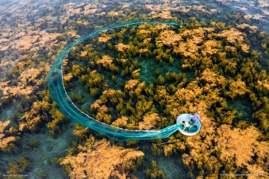 Vẻ đẹp thiên nhiên Việt Nam. (Ảnh: Trần Tuấn Việt)