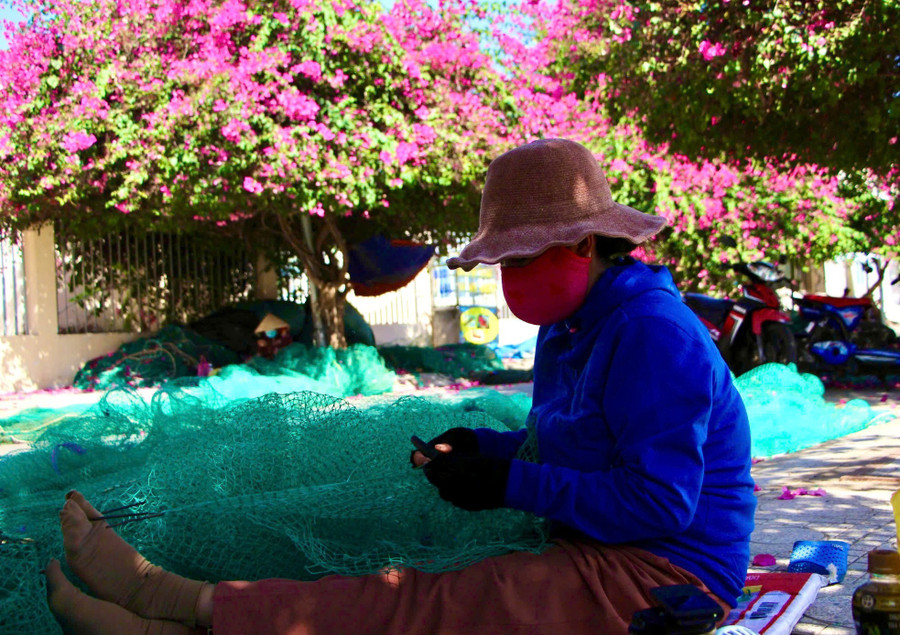 Người dân làng chài ngồi vá lưới dưới những tán hoa giấy rực hồng tạo nên khung cảnh bình yên giữa lòng phố biển sôi động. Người dân làng chài ngồi vá lưới dưới những tán hoa giấy rực hồng tạo nên khung cảnh bình yên giữa lòng phố biển sôi động.