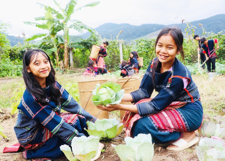 Ngoài giờ học, các em học sinh Trường PTDT Bán trú TH và THCS Krong còn chăm sóc cây trồng (ảnh đơn vị cung cấp). 4t.jpg
