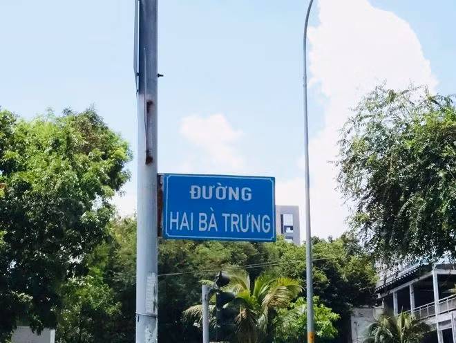 Đường Hai Bà Trưng nổi bật với 2 hàng cây xanh, đi qua 2 quận trung tâm là Q.1 và Q.3. ẢNH: THÁI THANH - HOÀI NHIÊN