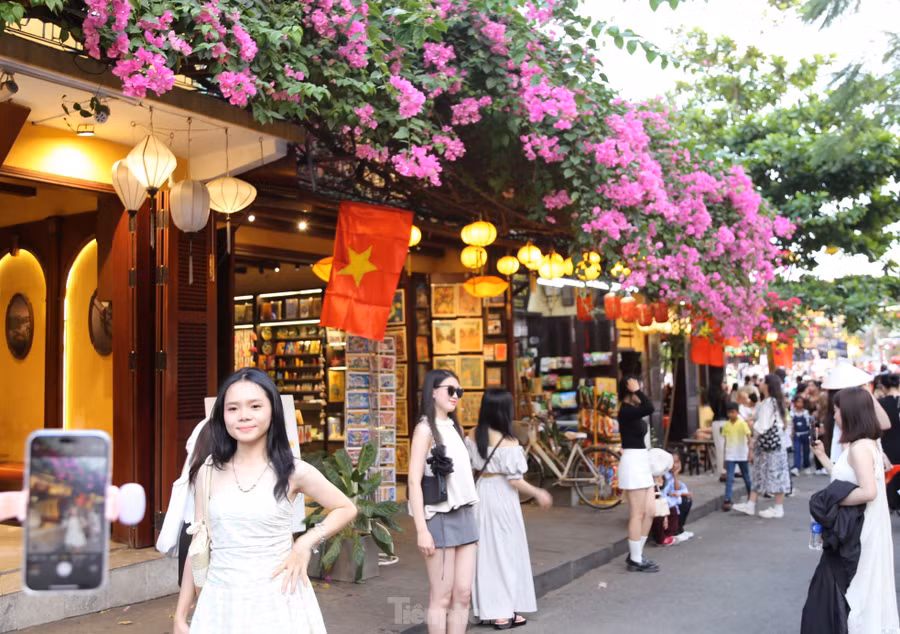 Bên cạnh vẻ đẹp cổ kính từ những mái nhà cổ, hoa giấy tô điểm thêm cho bức tranh phố Hội ngày hè. Ảnh: Hoài Văn