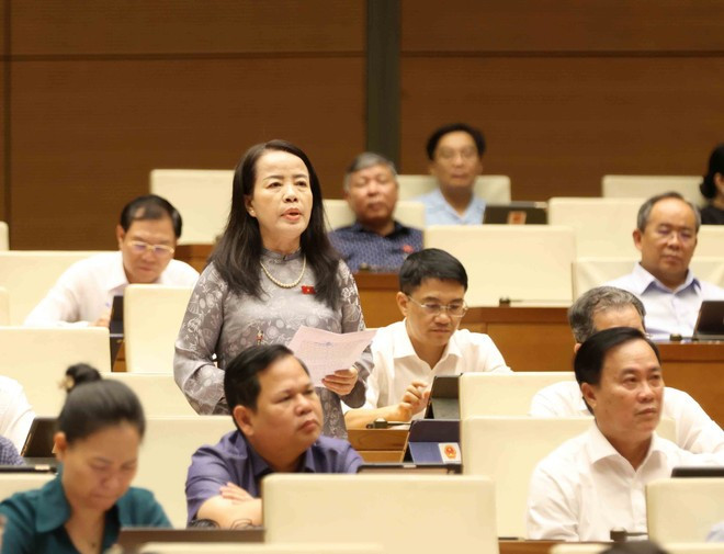 Các đại biểu Quốc hội phát biểu tại hội trường đóng góp ý kiến cho các dự án luật. Ảnh: TTXVN Các đại biểu Quốc hội phát biểu tại hội trường đóng góp ý kiến cho các dự án luật. Ảnh: TTXVN