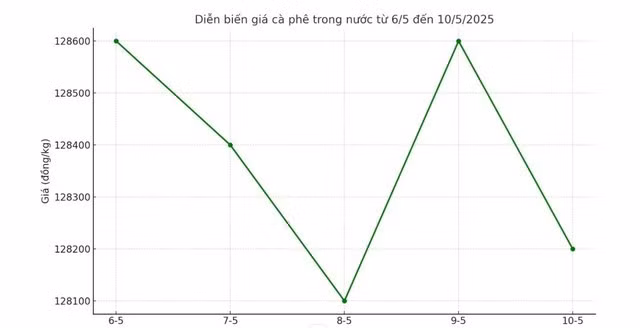 Diễn biến giá cà phê trong nước tuần qua