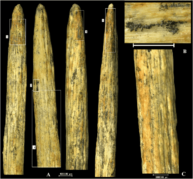 Mũi giáo xương được tìm thấy ở Nga, chụp theo các góc độ khác nhau - Ảnh: Journal of Archaeological Science Mũi giáo xương được tìm thấy ở Nga, chụp theo các góc độ khác nhau - Ảnh: Journal of Archaeological Science