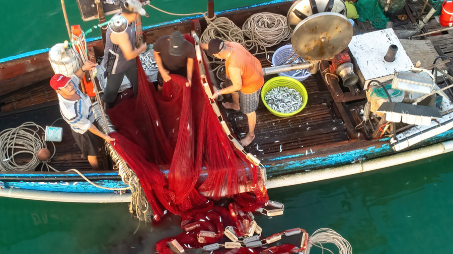 Những ngư dân tranh thủ kéo những mẻ lưới để kịp vào phiên chợ sớm. ẢNH: NGUYỄN TRÌNH