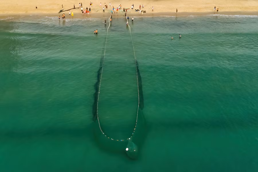 Khung cảnh kéo lưới trên nền nước biển xanh ngắt khiến du khách nao lòng