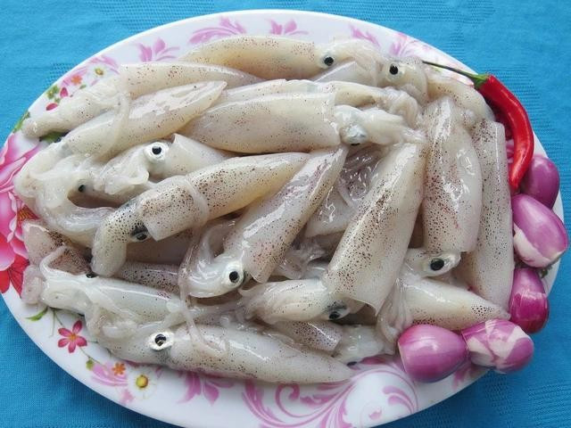 Mực tươi vừa vớt lên từ biển. ẢNH: TRANG THY Mực tươi vừa vớt lên từ biển. ẢNH: TRANG THY