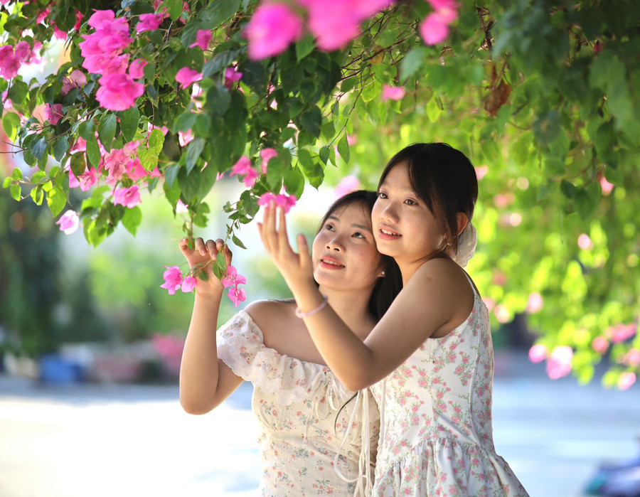 Để có những bức ảnh lung linh nhất, mọi người thường chọn đến đường hoa giấy và chụp ảnh vào sáng sớm hoặc chiều muộn, khi ánh nắng không quá gắt. Để có những bức ảnh lung linh nhất, mọi người thường chọn đến đường hoa giấy và chụp ảnh vào sáng sớm hoặc chiều muộn, khi ánh nắng không quá gắt.