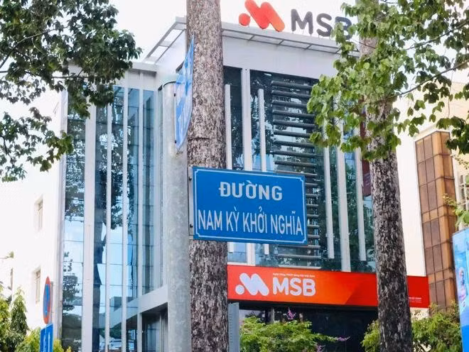 Con đường Nam Kỳ Khởi Nghĩa rợp bóng cây xanh. ẢNH: THÁI THANH - HOÀI NHIÊN