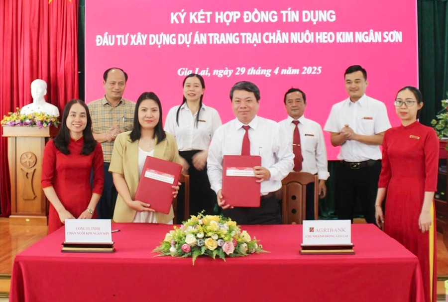 Agribank Chi nhánh Đông Gia Lai ký kết tài trợ tín dụng Dự án chăn nuôi heo Kim Ngân Sơn (ADVCC). Ảnh: Sơn Ca 22.jpg