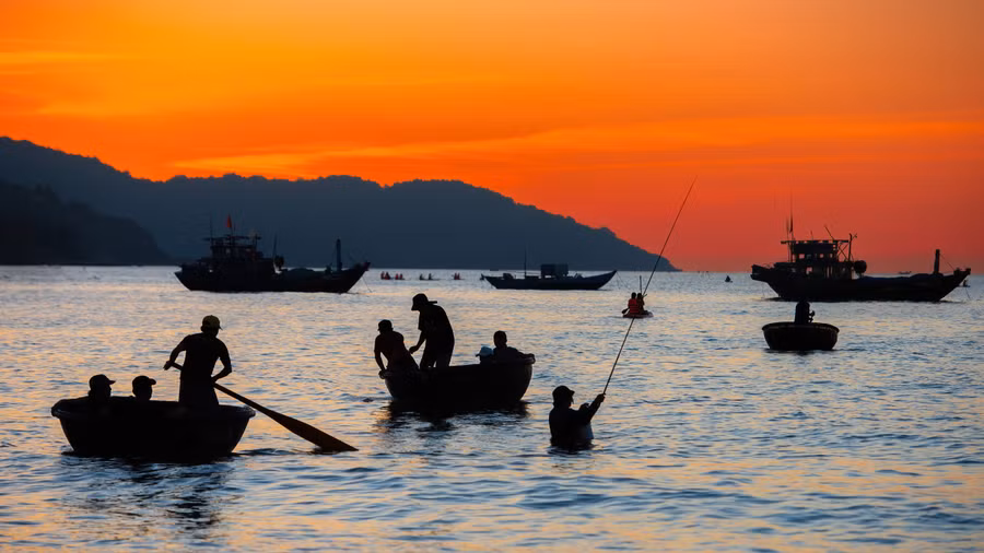 Những chiếc thuyền cập bến mang theo niềm hy vọng một ngày bội thu. ẢNH: NGUYỄN TRÌNH