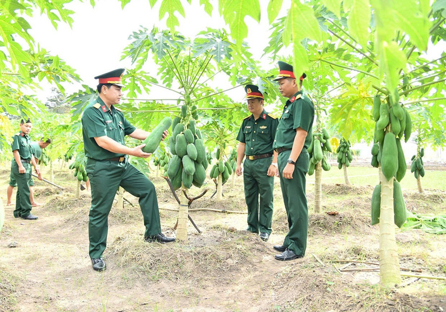 Lãnh đạo Sư đoàn 9 (Quân đoàn 34) kiểm tra công tác tăng gia sản xuất tại đơn vị (ảnh đơn vị cung cấp). 1bg.jpg