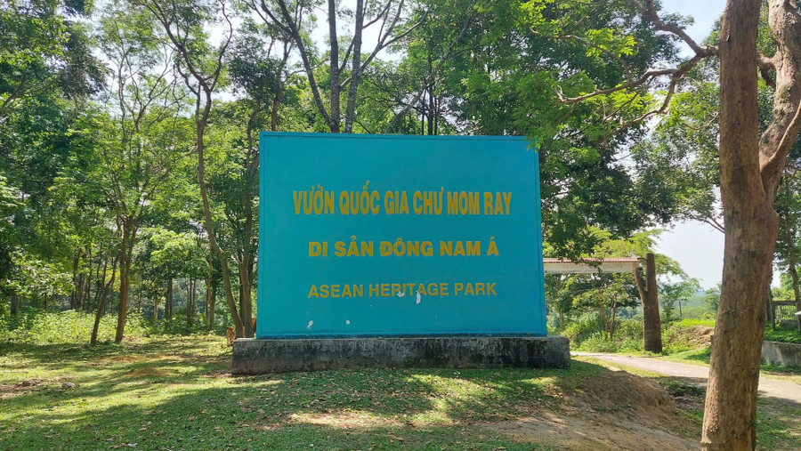 VQG Chư Mom Ray không chỉ có cảnh quan thiên nhiên kỳ vĩ, mà còn sở hữu một hệ sinh thái rừng đa dạng. ẢNH: ĐỨC NHẬT VQG Chư Mom Ray không chỉ có cảnh quan thiên nhiên kỳ vĩ, mà còn sở hữu một hệ sinh thái rừng đa dạng. ẢNH: ĐỨC NHẬT