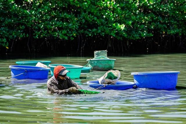Người dân mưu sinh trên đầm Thị Nại. ẢNH: DŨNG NHÂN Người dân mưu sinh trên đầm Thị Nại. ẢNH: DŨNG NHÂN