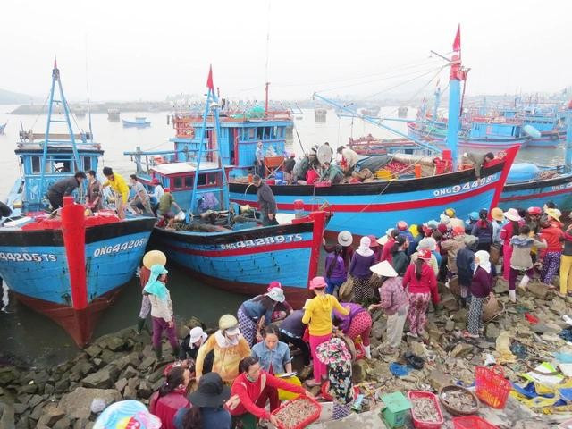 Tàu cá cập bờ, trên bến dưới thuyền rộn tiếng nói cười, ngã giá bán mua. ẢNH: TRANG THY Tàu cá cập bờ, trên bến dưới thuyền rộn tiếng nói cười, ngã giá bán mua. ẢNH: TRANG THY