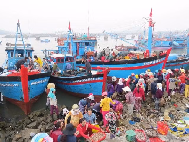 Tàu cá cập bờ, trên bến dưới thuyền rộn tiếng nói cười, ngã giá bán mua. ẢNH: TRANG THY