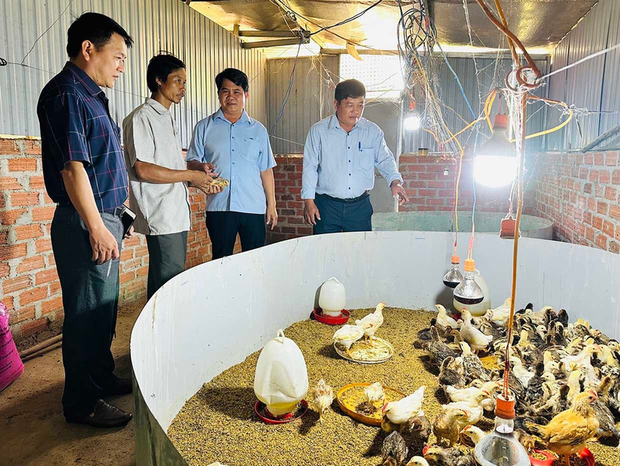 Nhờ học nghề, ông Đinh Văn Thọ (thứ hai từ trái qua, ở thôn M3, xã Vĩnh Thịnh) đã phát triển thành công mô hình nuôi gà thả đồi, cho hiệu quả kinh tế cao. Ảnh: D.Đ Nhờ học nghề, ông Đinh Văn Thọ (thứ hai từ trái qua, ở thôn M3, xã Vĩnh Thịnh) đã phát triển thành công mô hình nuôi gà thả đồi, cho hiệu quả kinh tế cao.