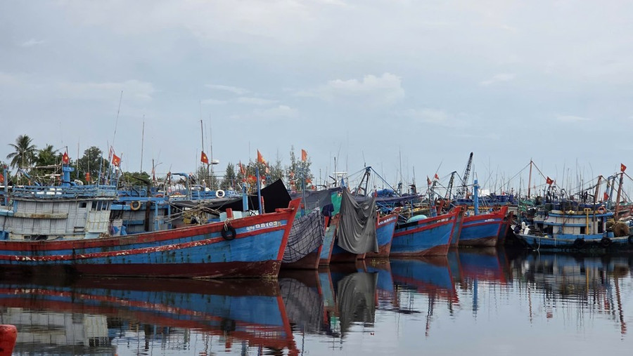 Tàu thuyền đang neo trú tại Cảng cá Tịnh Hòa (xã Đông Sơn, tỉnh Quảng Ngãi). Ảnh: baovanhoa.vn Tàu thuyền đang neo trú tại Cảng cá Tịnh Hòa, xã Đông Sơn, tỉnh Quảng Ngãi. Ảnh nguồn baovanhoa.vn