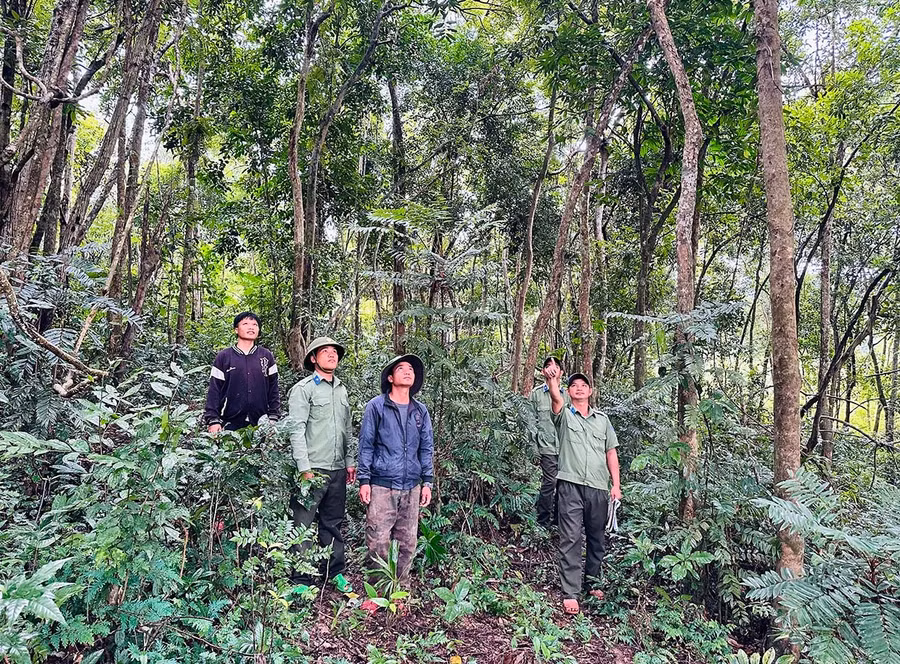 Tổ Quản lý bảo vệ rừng làng Canh Tiến và Trạm Quản lý bảo vệ rừng Canh Tiến-Hồ Núi Một cùng tuần tra rừng tại khu vực suối Ba Cây. Ảnh: D.Đ