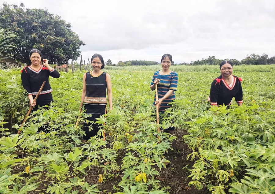 Chi hội Phụ nữ làng Ktu hỗ trợ ngày công cho hội viên.