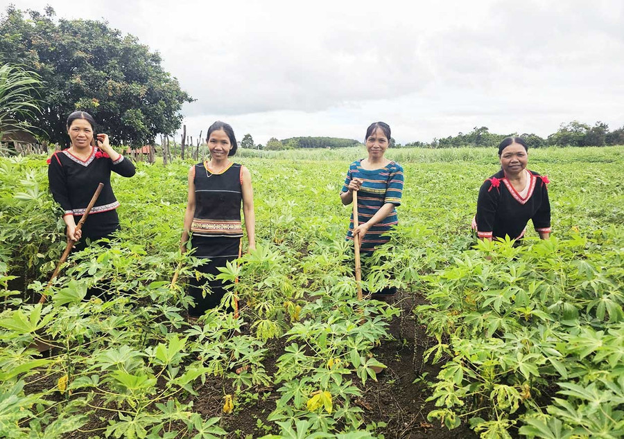 Chi hội Phụ nữ làng Ktu hỗ trợ ngày công cho hội viên.