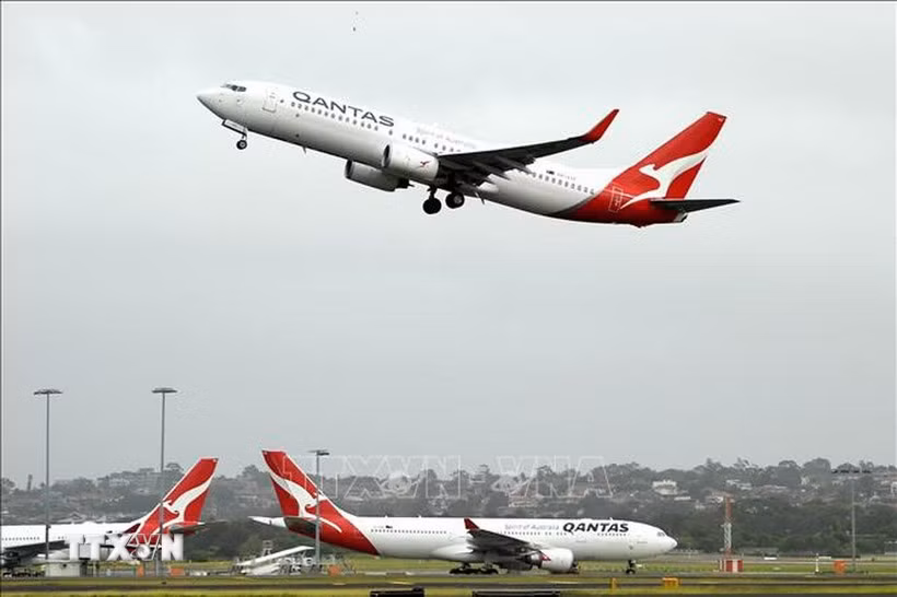 Máy bay của hãng hàng không Qantas tại sân bay Sydney, Australia. (Ảnh: AFP/TTXVN)