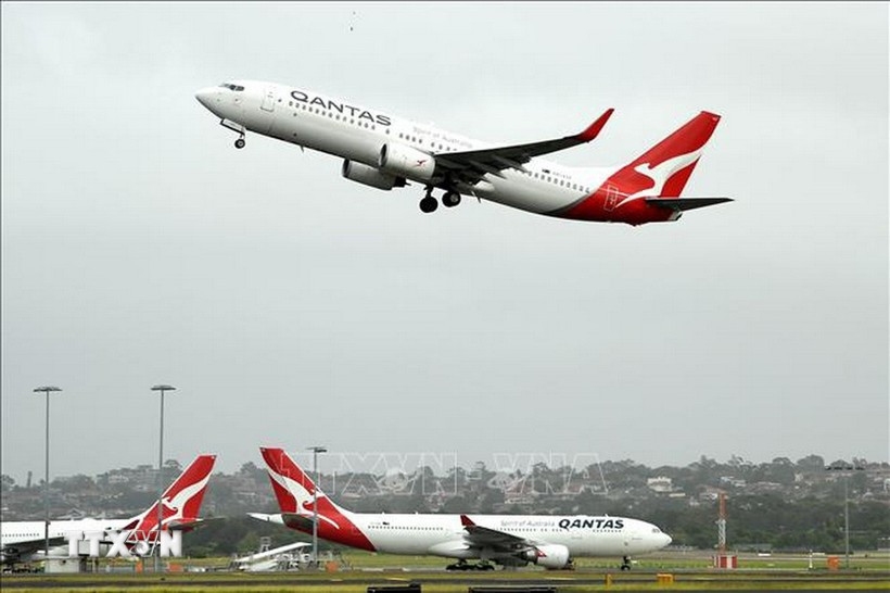 Máy bay của hãng hàng không Qantas tại sân bay Sydney, Australia. (Ảnh: AFP/TTXVN) Máy bay của hãng hàng không Qantas tại sân bay Sydney, Australia. (Ảnh: AFP/TTXVN)