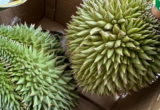 Cadimi "hung thần" của ngành hàng xuất khẩu sầu riêng bị đưa vào dự thảo danh mục hoạt chất cấm sử dụng. Ảnh: Chí Nhân Cadimi 'hung thần' của ngành hàng xuất khẩu sầu riêng bị đưa vào dự thảo danh mục hoạt chất cấm sử dụng
