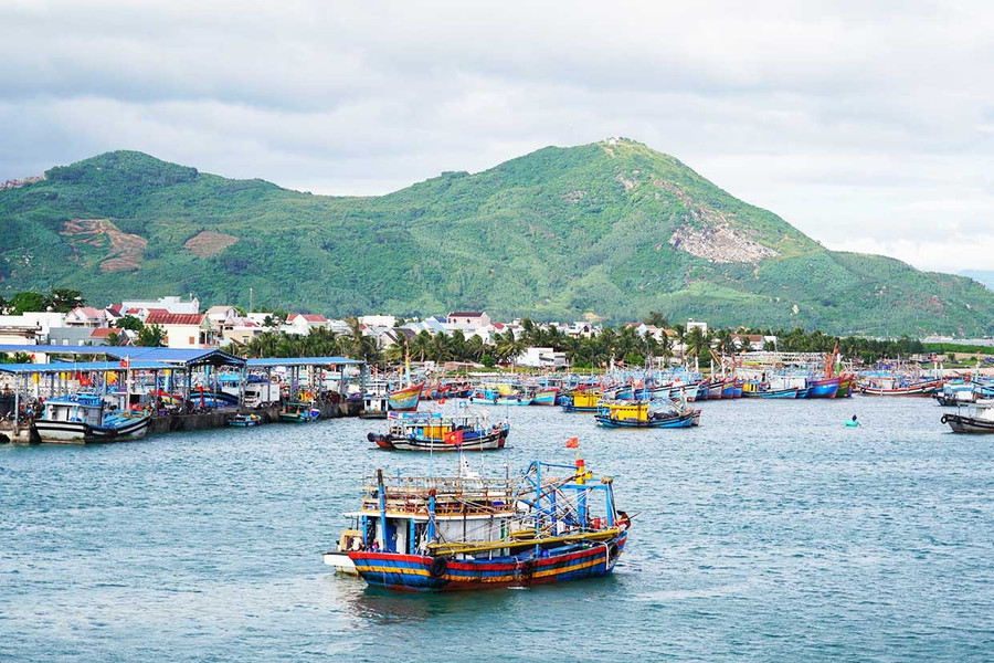 Việc triển khai Tháng hành động cao điểm chống khai thác IUU thể hiện quyết tâm của tỉnh Gia Lai cùng cả nước trong nỗ lực tháo gỡ “thẻ vàng” của EC.