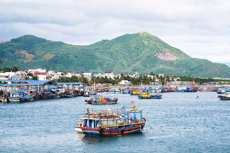 Việc triển khai Tháng hành động cao điểm chống khai thác IUU thể hiện quyết tâm của tỉnh Gia Lai cùng cả nước trong nỗ lực tháo gỡ “thẻ vàng” của EC.