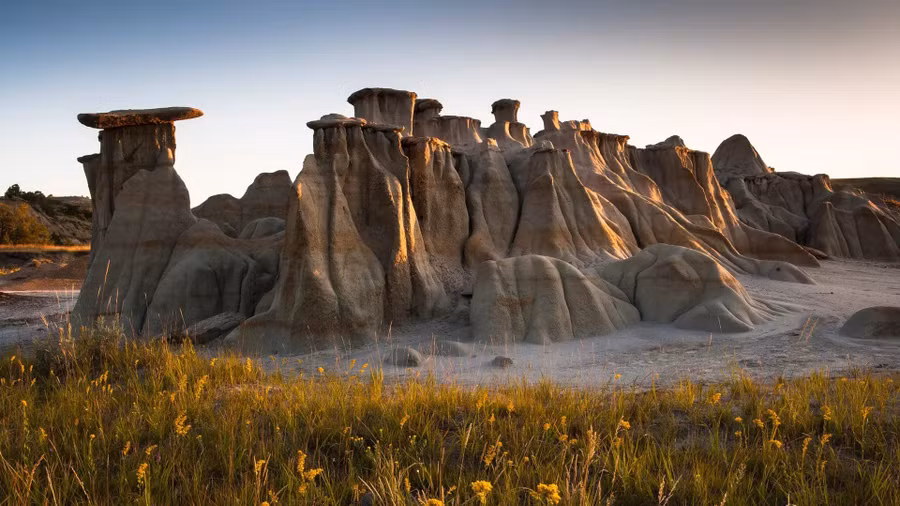 Công viên Quốc gia Theodore Roosevelt vinh danh vị tổng thống theo chủ nghĩa tự nhiên này bằng cách bảo vệ 28.327 ha động vật hoang dã thảo nguyên và Đại Bình nguyên, mời gọi du khách khám phá cùng một địa hình và văn hóa cao bồi mà vị Tổng thống đã từng trải qua 140 năm trước.