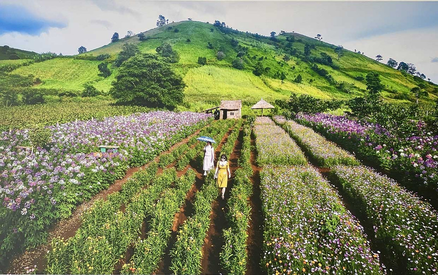 Tác phẩm “Sắc màu núi lửa Chư Đang Ya” của tác giả Đào Phan Minh Cần.