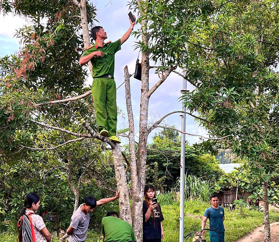 Cán bộ CA xã Vĩnh Sơn trèo lên cây cao bắt sóng điện thoại để kích hoạt tài khoản VNeID cho người dân. Ảnh: ĐVCC