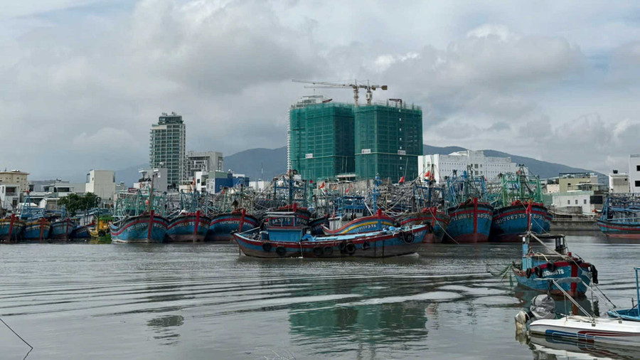 Bằng mọi biện pháp thông tin, kêu gọi, hướng dẫn tàu thuyền về nơi tránh trú an toàn. Ảnh: P.V