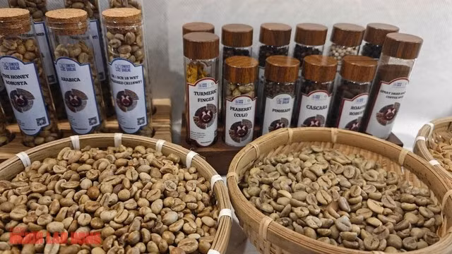 Cà phê được mua trữ phòng gián đoạn do EUDR