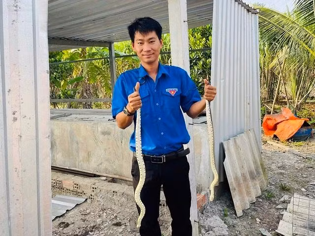 Mô hình nuôi rắn ri cá mang lại cho anh Cường nguồn thu nhập hơn 1 tỉ đồng mỗi năm. ẢNH: THANH DUY
