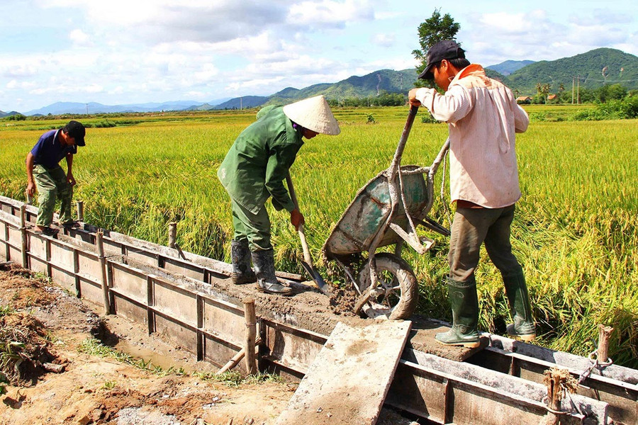 Xác định nông nghiệp là trụ cột trong phát triển KT-XH, xã Vĩnh Thịnh sẽ cơ cấu lại ngành nông nghiệp theo hướng bền vững, nâng cao giá trị gia tăng. Ảnh: Long Vũ bg1.jpg