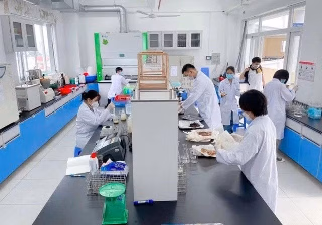 Nghiên cứu sinh tại nhiều trường ĐH được tạo điều kiện hấp dẫn như trở thành nghiên cứu viên của trường, ưu tiên tham gia đề tài, được trả lương hàng tháng, trở thành giảng viên với thu nhập cao. ẢNH: B.H