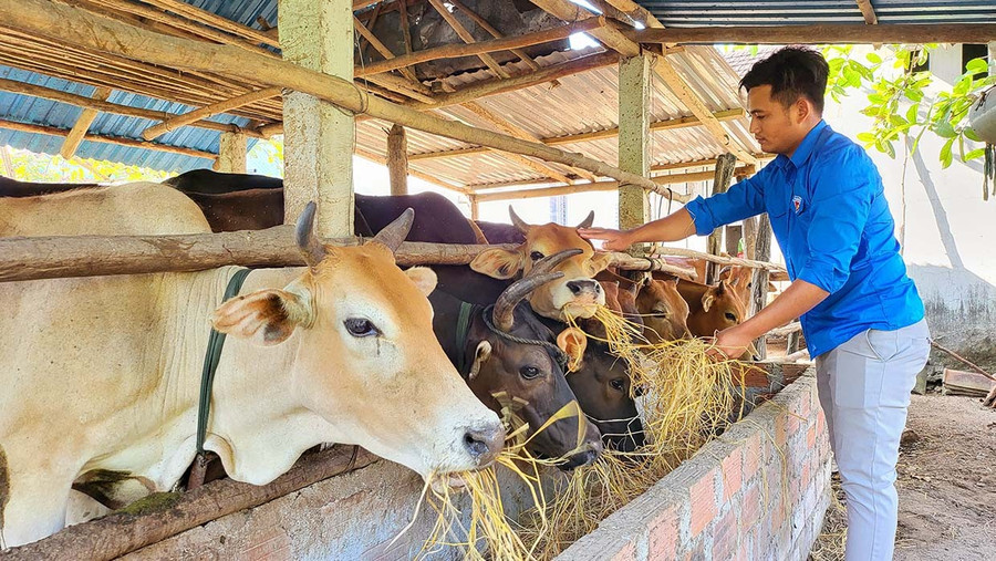 Đoàn xã Canh Vinh hỗ trợ gà giống giúp anh Đoàn Văn Ngỡ (bìa trái) có điều kiện phát triển kinh tế, vươn lên ổn định cuộc sống. Ảnh: D.Đ
