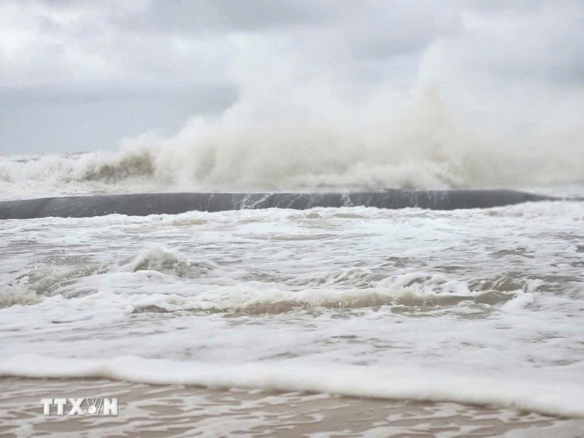 Dự báo từ nay đến ngày 10/12, khu vực Biển Đông có khả năng xuất hiện 1-2 cơn bão, áp thấp nhiệt đới. (Ảnh minh họa. Nguồn: TTXVN)