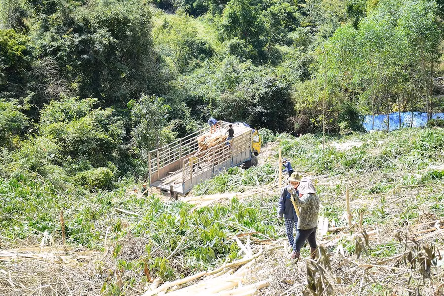 Các xã Sró, Đak Song có lợi thế vùng nguyên liệu nông - lâm sản nhưng bị điểm nghẽn chính là tải trọng cầu Đak Pơ Kơ kìm hãm sự phát triển. Ảnh: Minh Phương