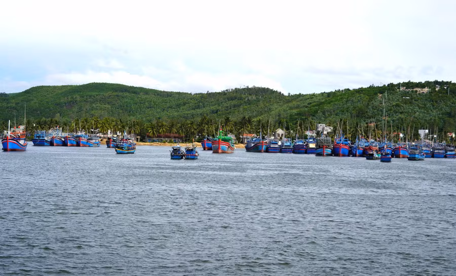 Một góc Cảng cá Tam Quan ngày sau bão. Ảnh: N.H