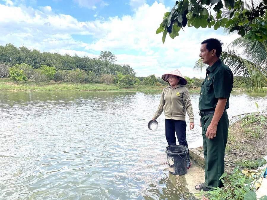Gần 20 năm gắn bó nơi biên giới Ia Púch, cựu chiến binh Dương Văn Đức đã gầy dựng mô hình kinh tế VAC trên diện tích 15 ha.