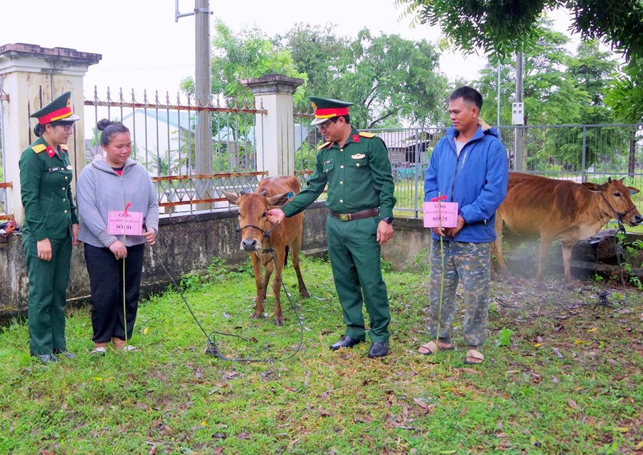 Đoàn Kinh tế - Quốc phòng 710 trao bò giống cho hộ nghèo, cận nghèo ở 2 xã Ia Mơ và Ia Lâu. Ảnh: ĐVCC