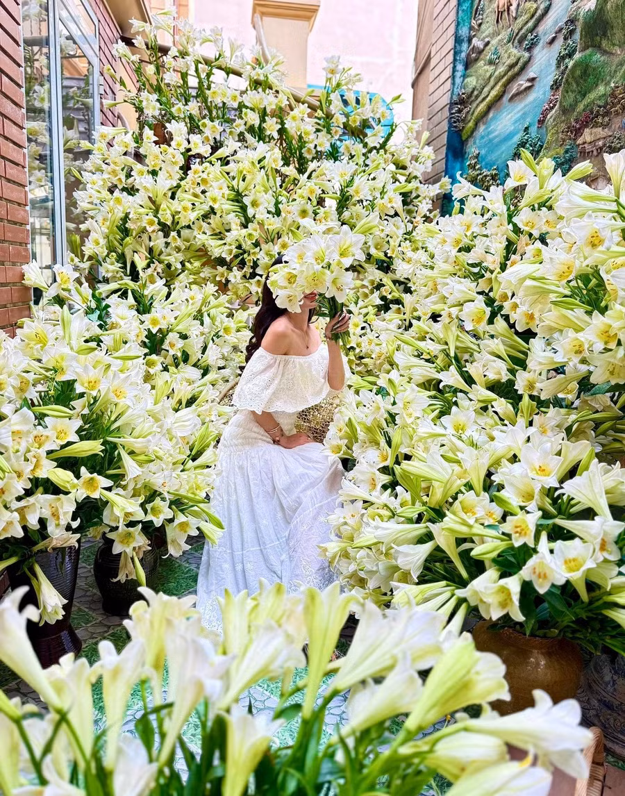 Chị Hương cho biết, loa kèn là loại hoa có mùi thơm đặc trưng. Kể từ khi biết đến bộ môn cắm hoa, năm nào chị cũng cắm một vườn kèn. Năm nay, chị cắm sớm vì thời tiết còn lạnh nên ở ngoài trời hoa đẹp bền lâu hơn. ẢNH: NVCC