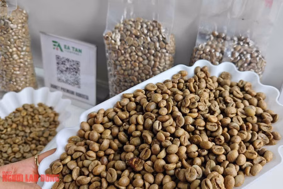 Giá cà phê hôm nay giảm thê thảm trong cuộc chiến về thuế