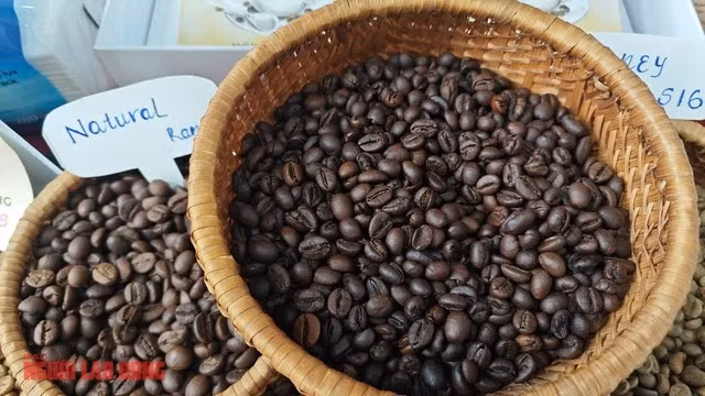 Giá cà phê giảm gần đây do áp lực tâm lý