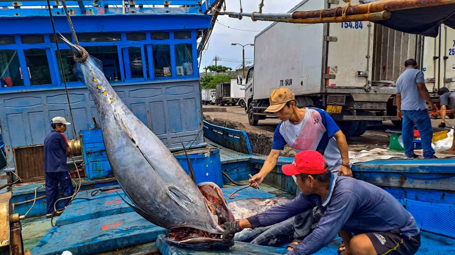 Theo ngư dân, chuyến biển này sản lượng đánh bắt được thấp, trong khi đó phí tổn cho chuyến biển cao nên cũng gặp nhiều khó khăn. Nhưng đã theo nghề nên anh em động viên nhau cố gắng để vươn khơi, bám biển: Trương Định